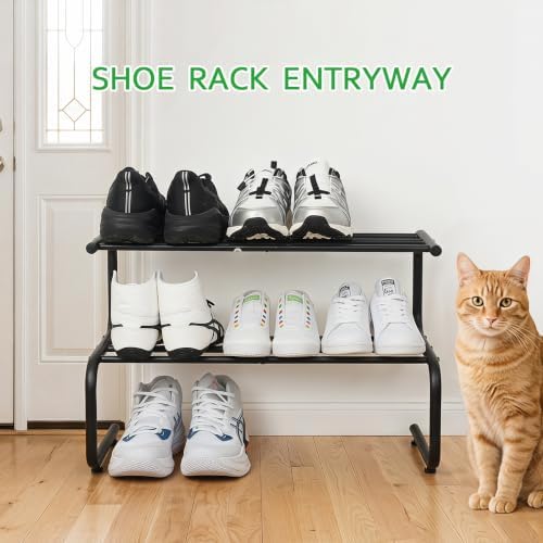 Small Metal Shoe Rack, 2 Tier 5-Shaped Shoe Storage Organizer (9 Pairs)