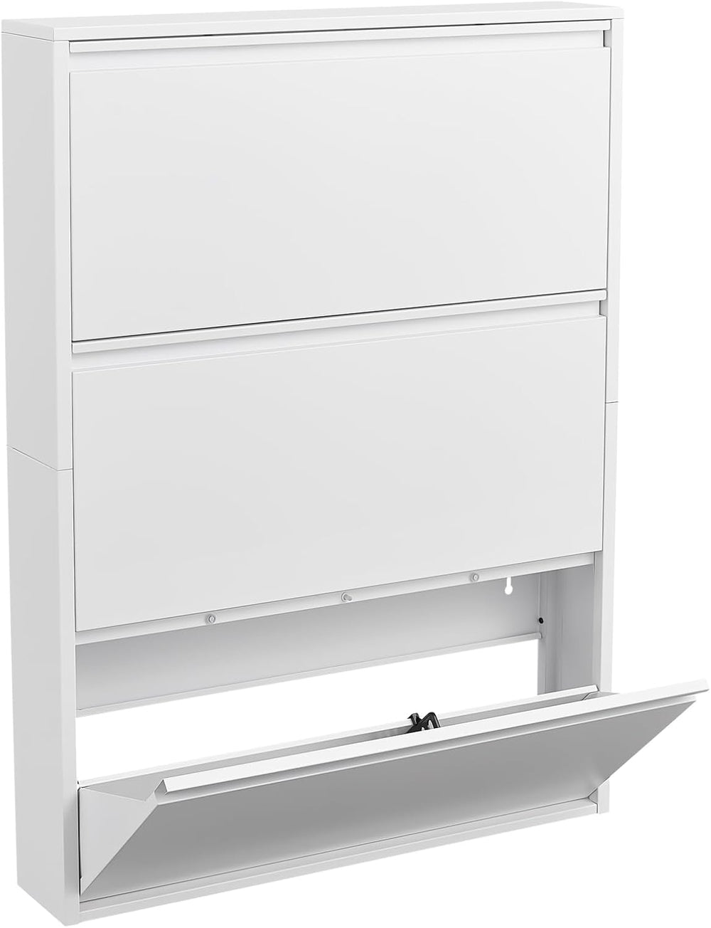 LUCYPAL Shoe Cabinet Storage for Entryway,Slim Wall Mounted Shoe Cabinet with...
