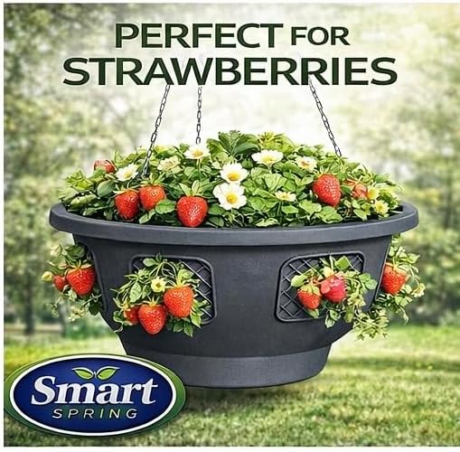 Ultimate Hanging Baskets - Strawberry, Tomato, Flower, and Herb Outdoor Plant...