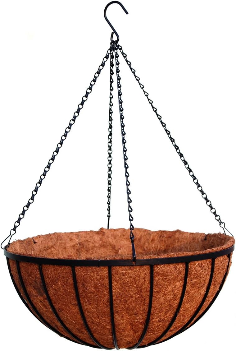 20" Georgian Rigid Iron Hanging Basket (940) with Coco Moss Liner