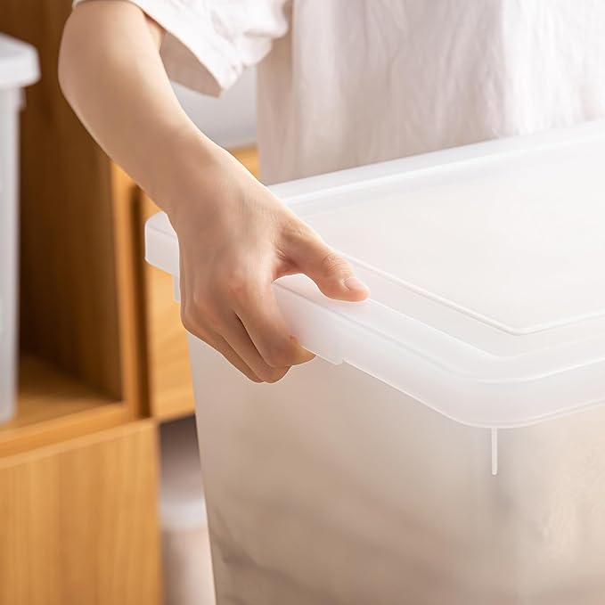 Stackable Plastic Storage Bins (4 Pack)