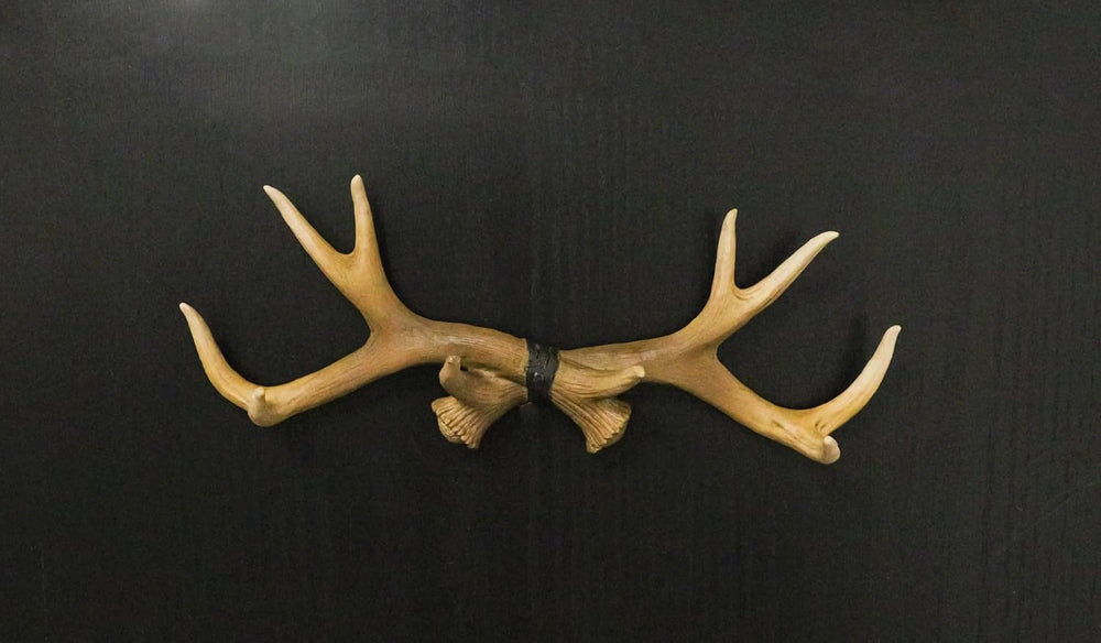 Ebros Gift Rustic Hunter's 10 Point Stag Deer Antlers Rack Wall Plaque 17...