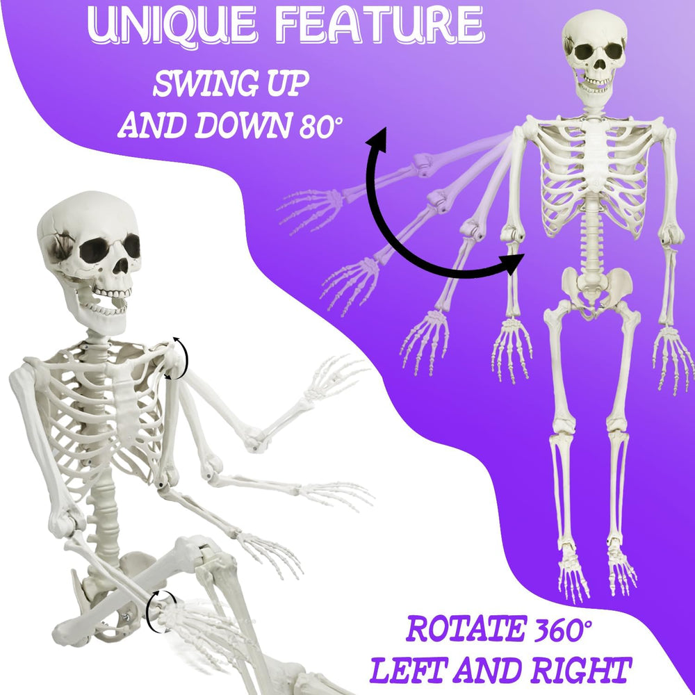 5.9FT Skeleton Halloween Full Size, Life Size Skeleton with Posable Joints