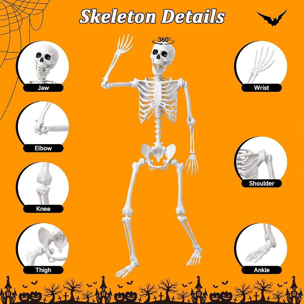 5.4FT/165cm Halloween Life Size Human Skeleton with Full Body Posable Joint