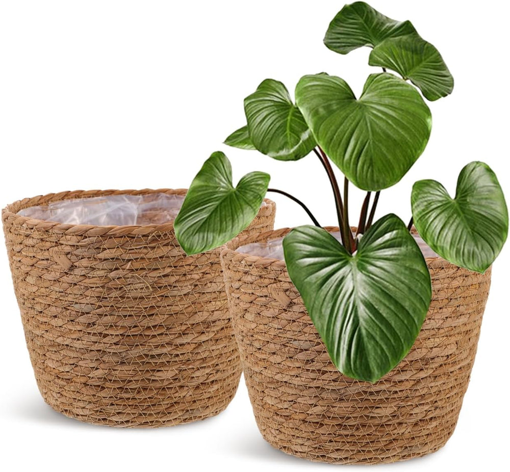Healifty 2Pcs Woven Plant Baskets with Liners Round Rattan Seagrass Planter