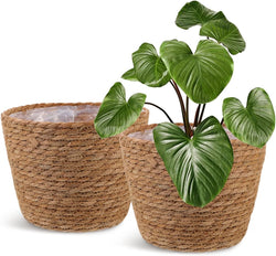 Healifty 2Pcs Woven Plant Baskets with Liners Round Rattan Seagrass Planter
