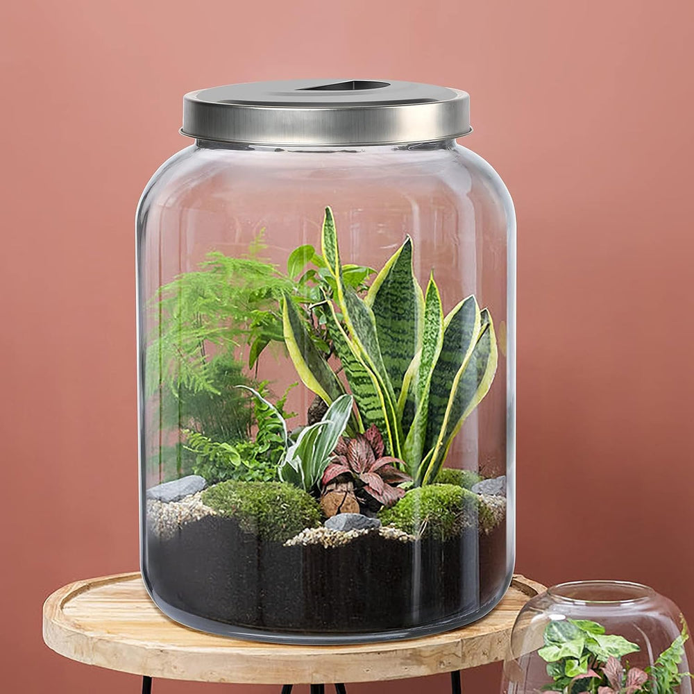 Daitouge 5.5 Gallon Large Glass Storage Jar with Lid, 21000ml, 1 Pack