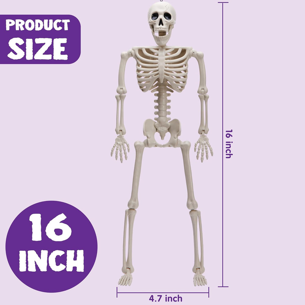 JOYIN 5 PCS Posable Halloween Skeleton Decor 16 Inches, Full Body Posable Joi...