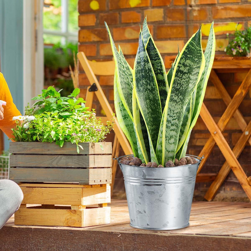 OBTANIM 8 Pack Galvanized Metal Buckets with Handle Ice Pails for Plants, Suc...