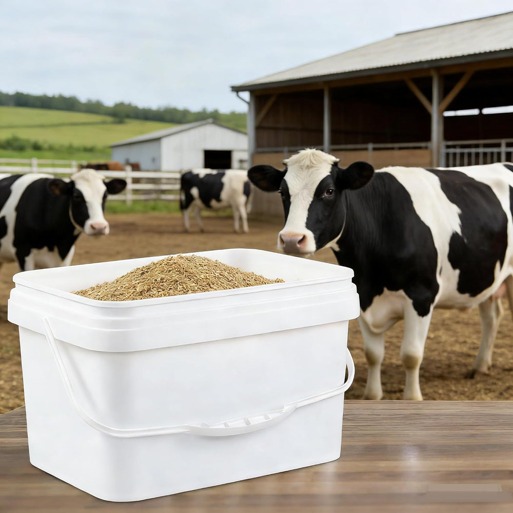 3 Gallon Rectangular Storage Bucket Pails with Lid, 4-Pack