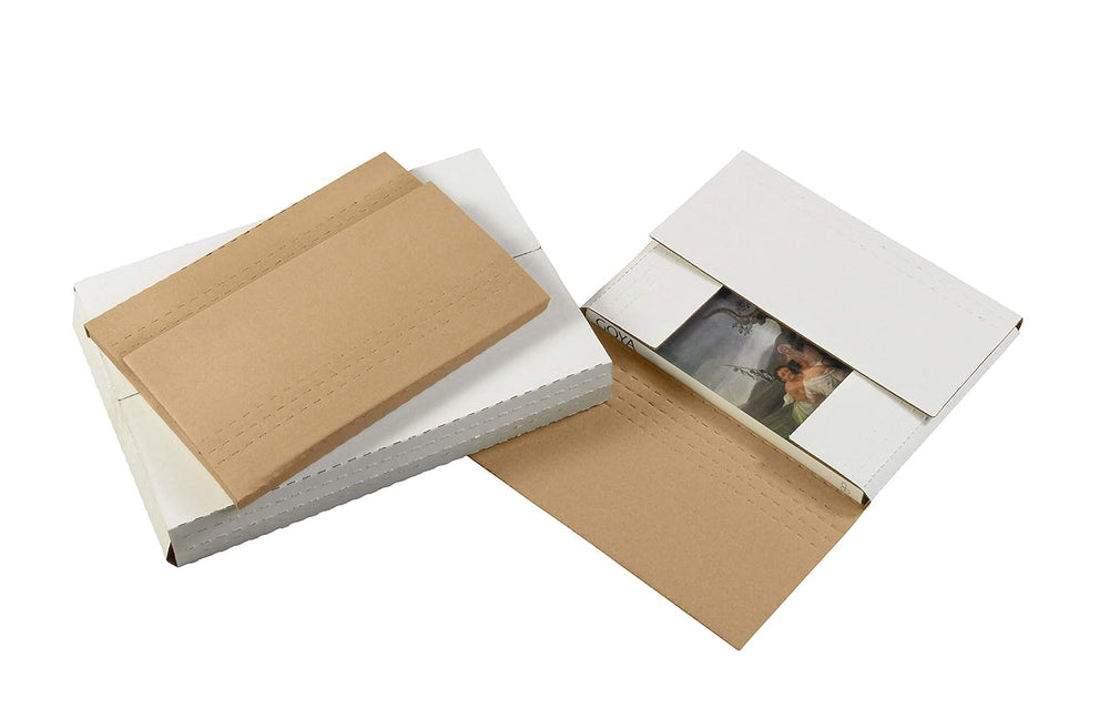 Boxes Fast BFM24182BF Corrugated Cardboard Easy-Fold Mailers, 24 x 18 x 2 Inc...