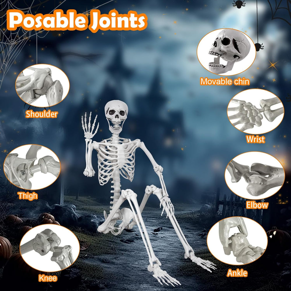 5.9ft/180cm Posable Halloween Skeleton, Life Size Skeleton Bones with Movable...