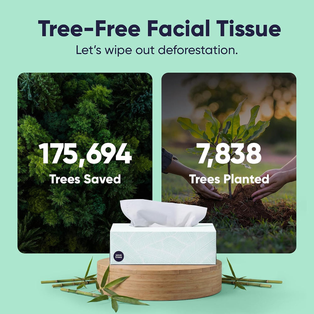 Save Trees Bamboo Facial Tissues - 12 Boxes of Eco-Friendly, 3-Ply Hypoallerg...