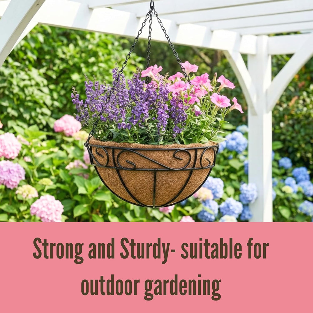 LaLaGreen Patio Hanging Planter (18 in, 2 Pack) Black Metal Wire Baskets