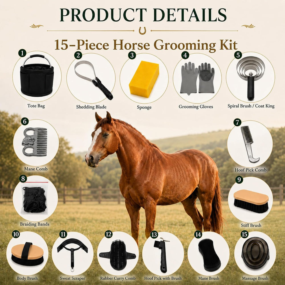 Horse Grooming Kit For Care Bathing & Shedding Brushes & Curry Combs ...
