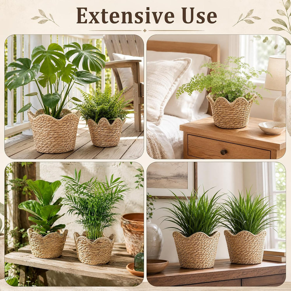8 Pcs Medium Seagrass Woven Baskets with Plastic Liner