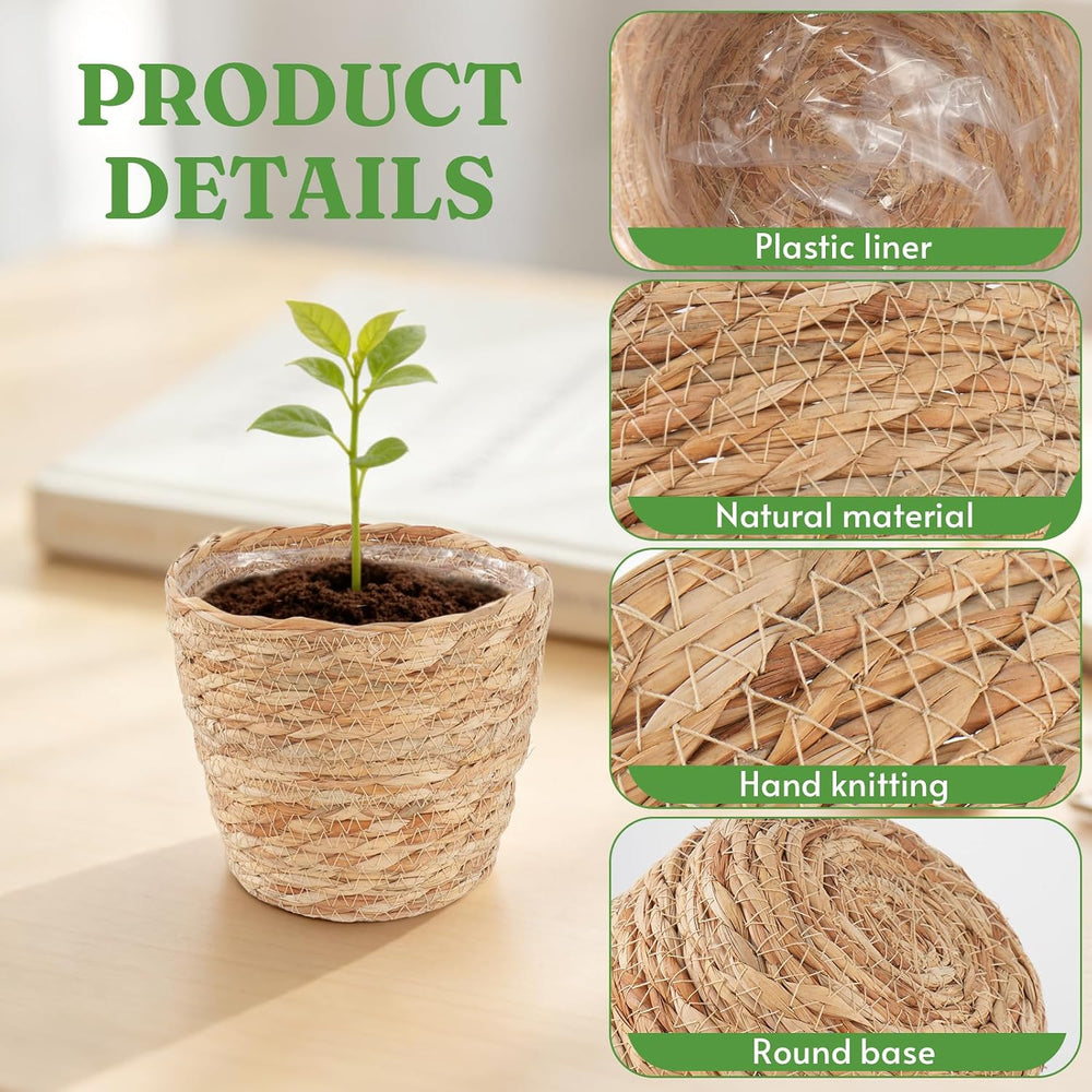 10 PCS Seagrass Plant Baskets with Plastic Liners, Woven Planter Baskets for ...