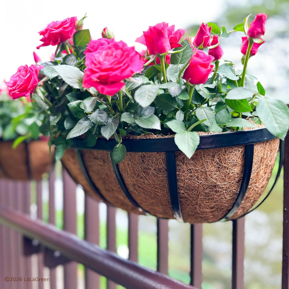 LaLaGreen 16" (8 Pack, Half Rounded Rectangular) Trough Coco Liners – Me...