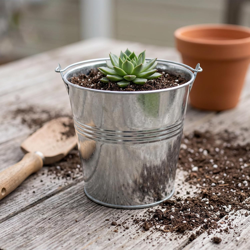 10 Pack Galvanized Metal Buckets with Handle, 6.2 x 5.9 Inch Ice Tin Bucket