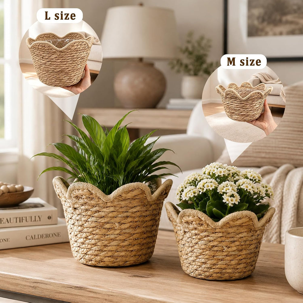 8 Pcs Medium Seagrass Woven Baskets with Plastic Liner