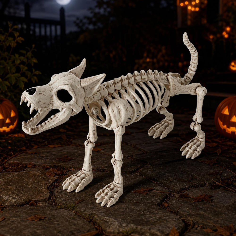 JOYIN 34” Wolf Skeleton Halloween Decoration, Plastic Animal Skeleton with Mo...