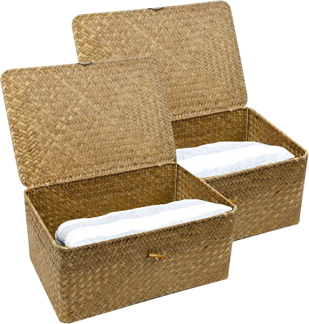 2-Pack Wicker Storage Baskets with Lid, Coffee Large & X-Large Rectangula...