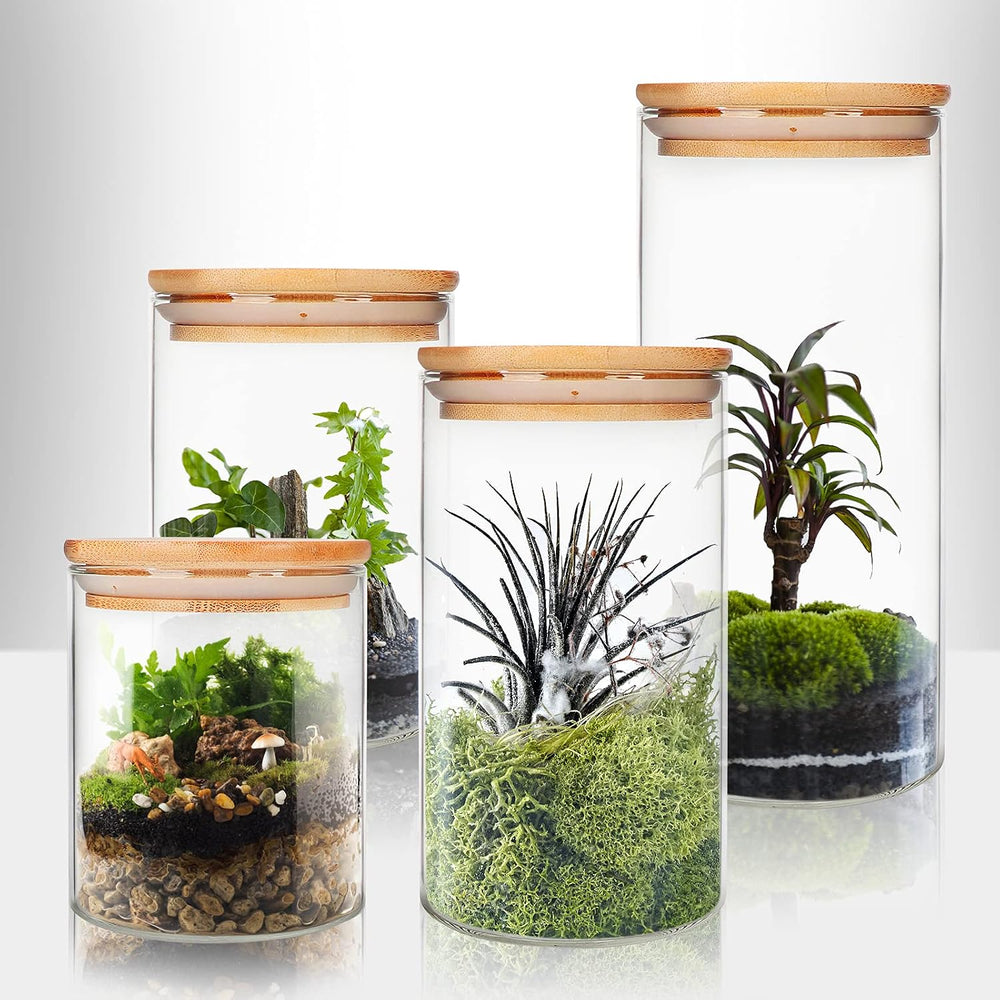 DHSBTLS 9 Pack 12 oz Glass Jars with Airtight Bamboo Lids for Kitchen