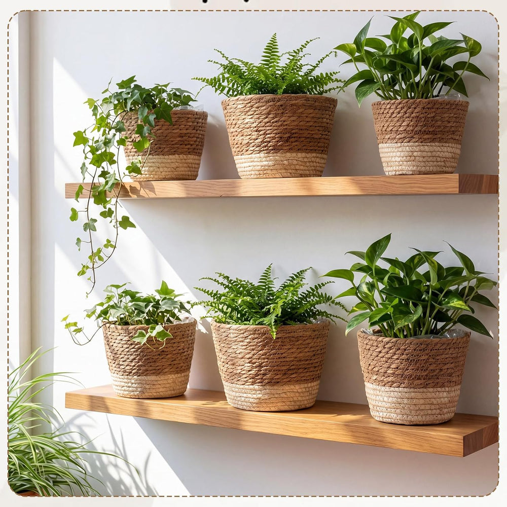 AceOrbit 12 Pcs Wicker Plant Basket Bulk with Liners,Mixed,Minimalist