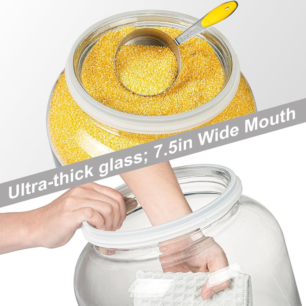 Daitouge 5.5 Gallon Large Glass Storage Jar with Lid, 21000ml, 1 Pack