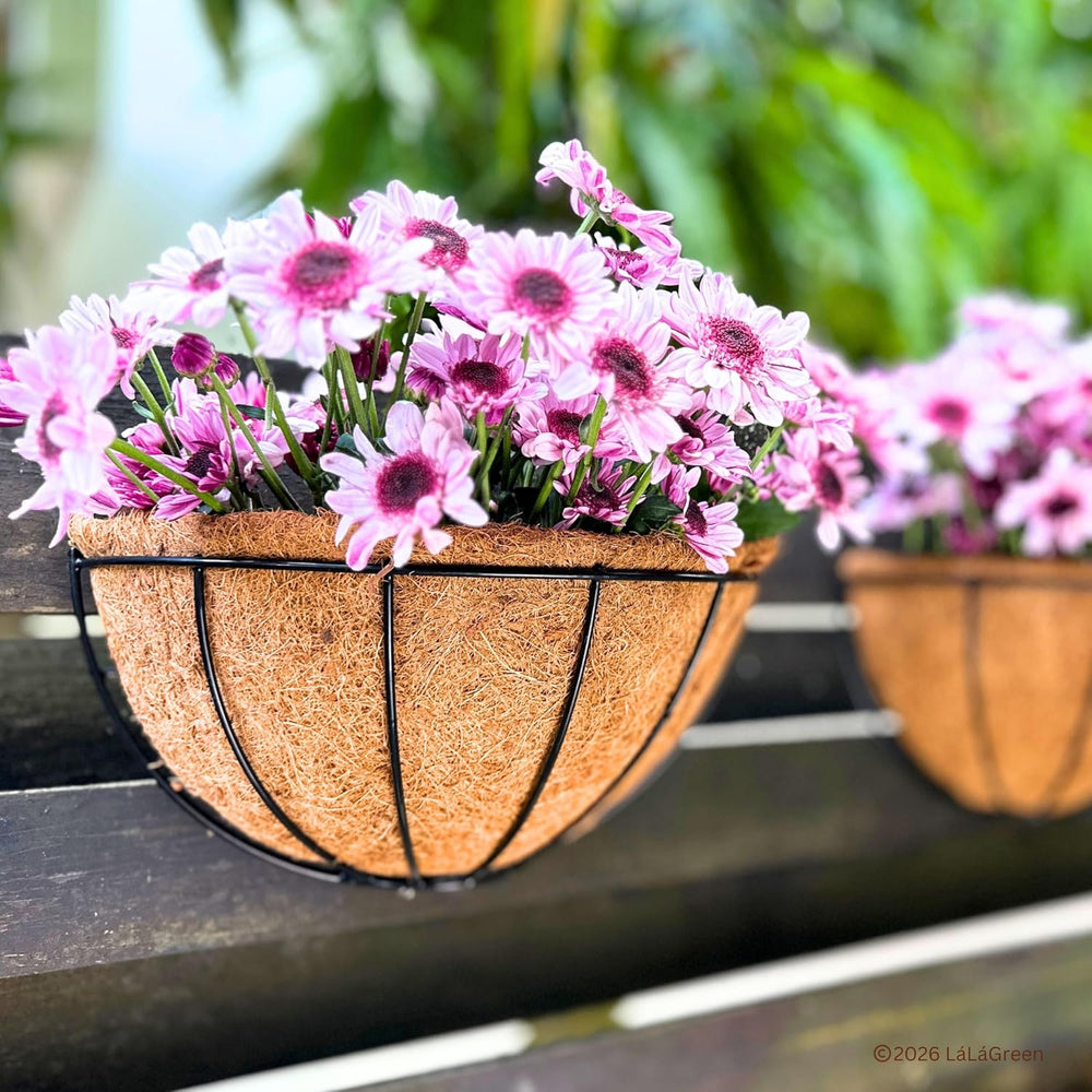 LaLaGreen 16" (4 Pack, Half Round) Coco Liners for Wall Planter Outdoor ...