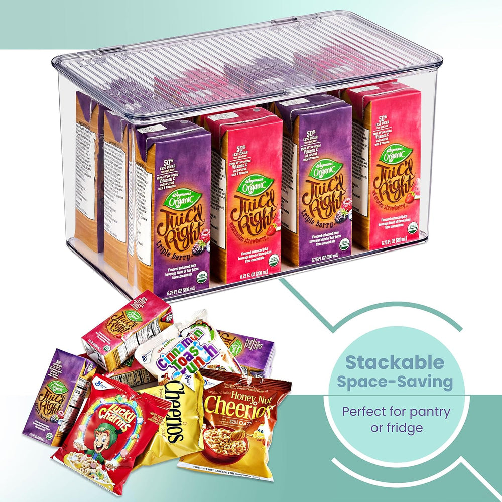 Sorbus Clear Storage Bins with Lids, Stackable Organizer (Large)