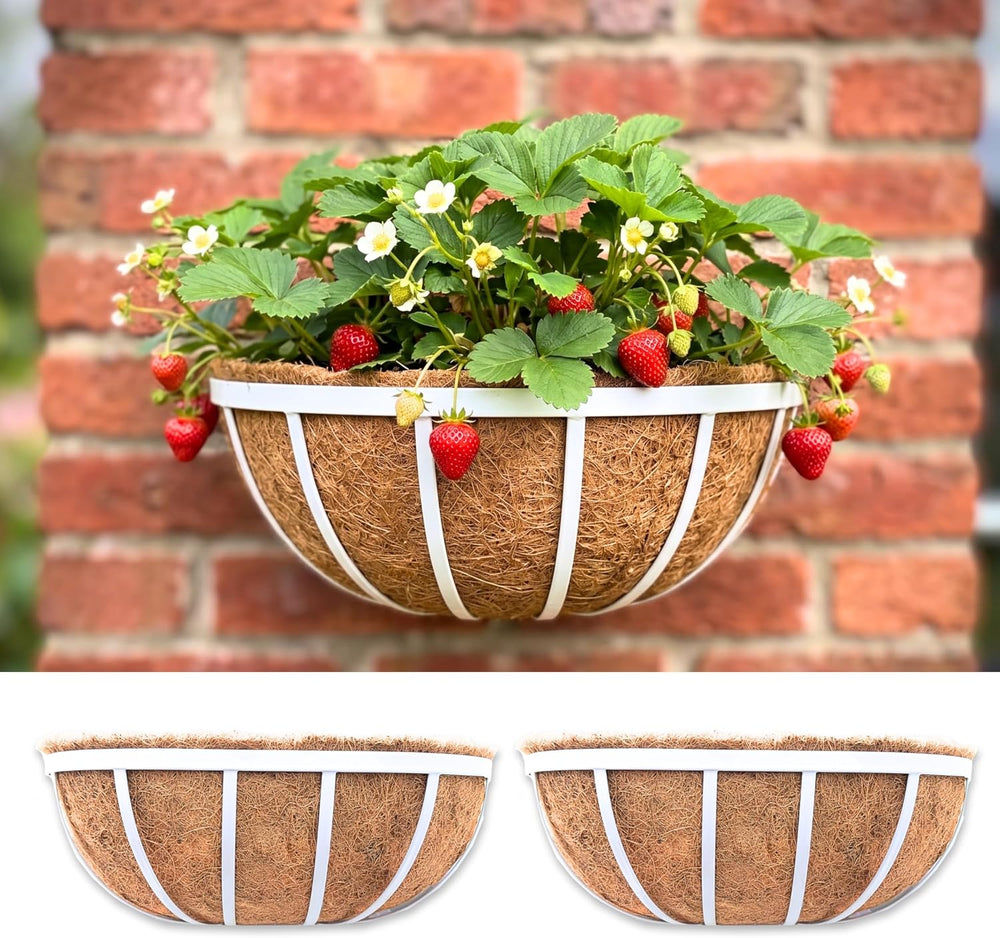 LaLaGreen Window Planter Box (16 Inch, 2 Pack) White Metal Deck Railing Flowe...