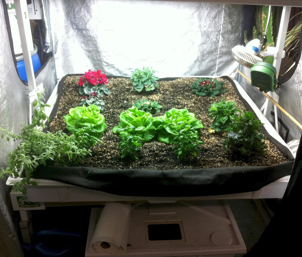 Smart Pot Tray Liner, Raised Bed Flood, 3 ft x 3 ft x 1 ft (36" x 36&quo...