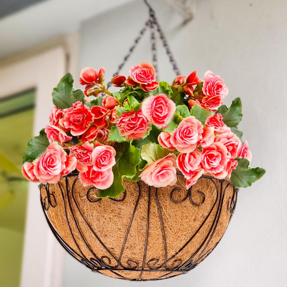 LaLaGreen Black Hanging Baskets (20 in, 2 Pack) Wire Coco Liner Flower Pots