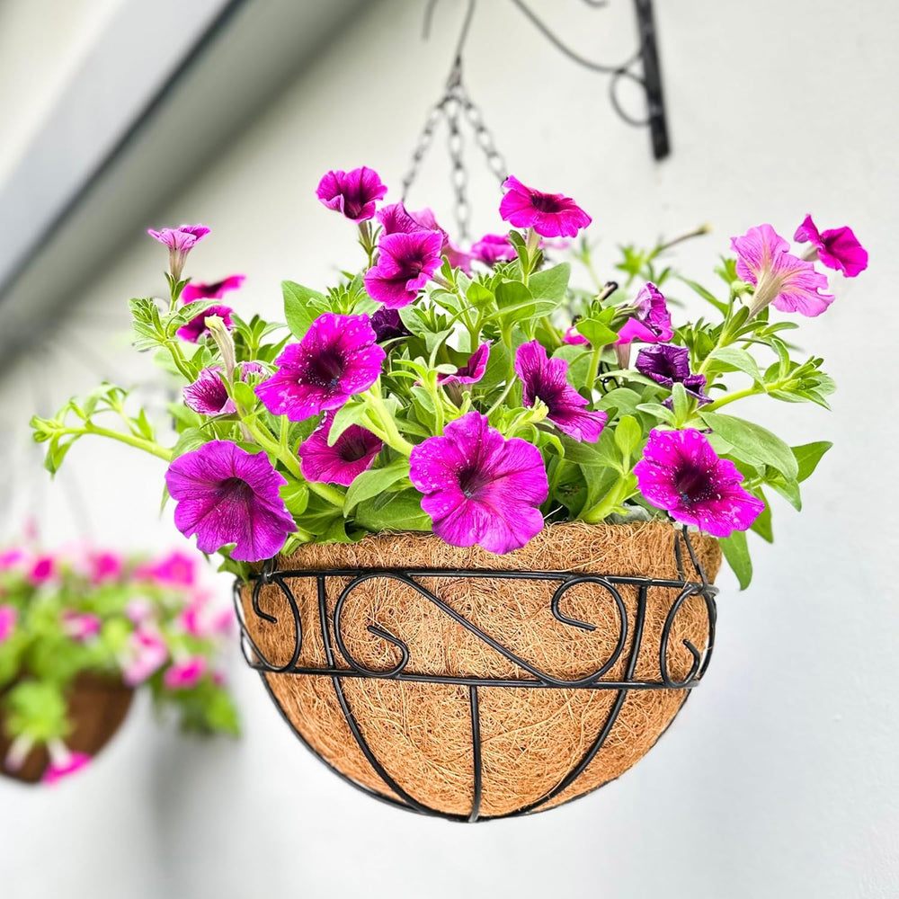 LaLaGreen Patio Hanging Planter (18 in, 2 Pack) Black Metal Wire Baskets