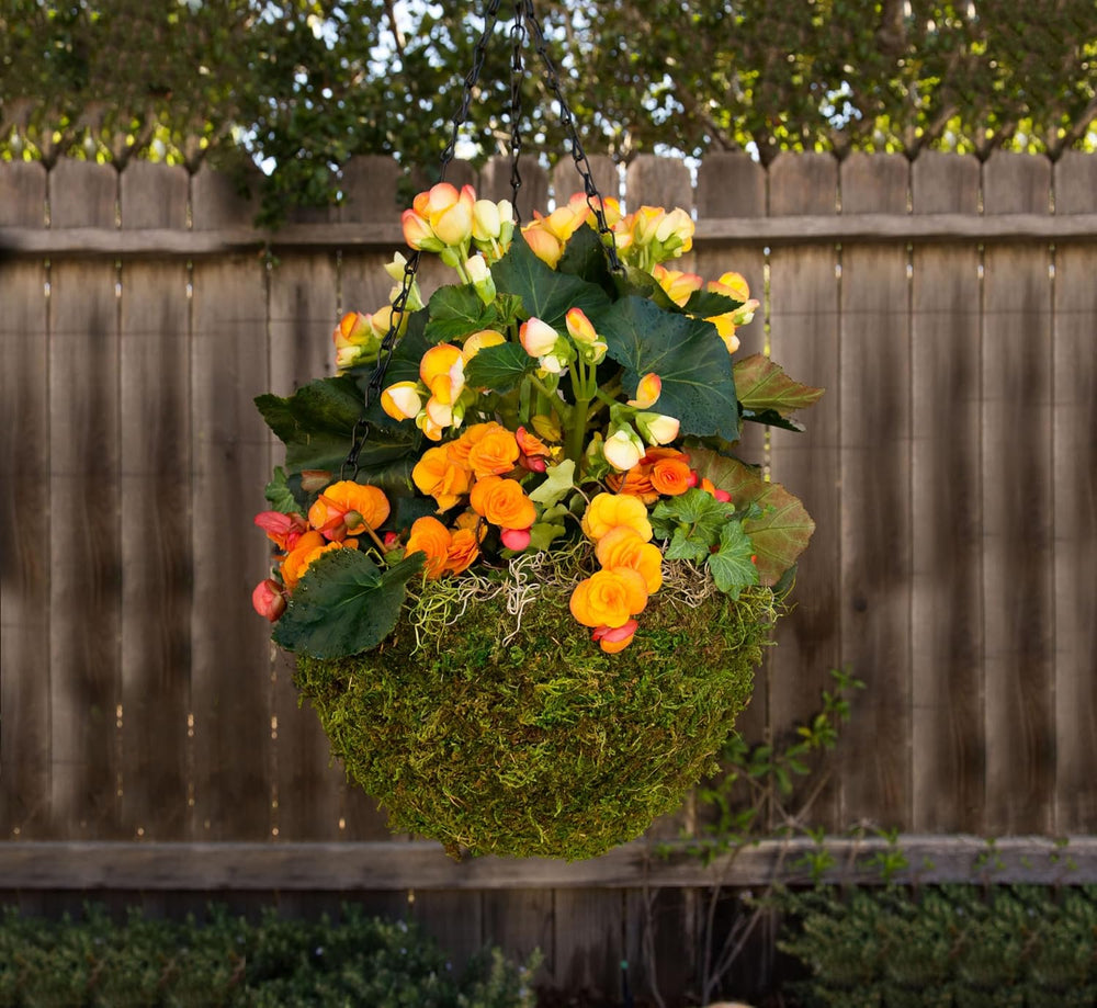 SuperMoss (29320) MossWeave Hanging Basket | Outdoor Hanging Planter with Mos...