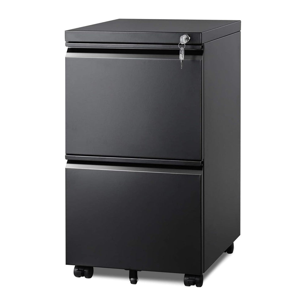 DEVAISE 2 Drawer Metal File Cabinet, Fully Assembled Filing Cabinet